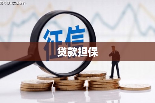 南山贷款担保