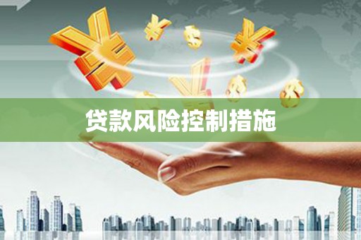 南山贷款风险控制措施
