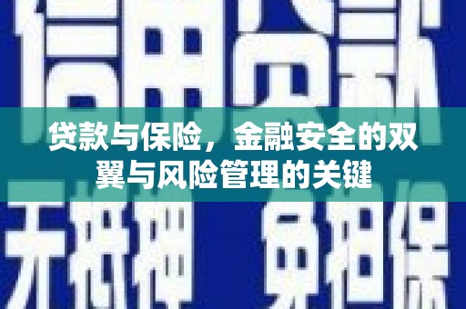 南山贷款与保险，金融安全的双翼与风险管理的关键
