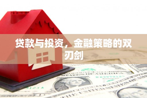南山贷款与投资，金融策略的双刃剑