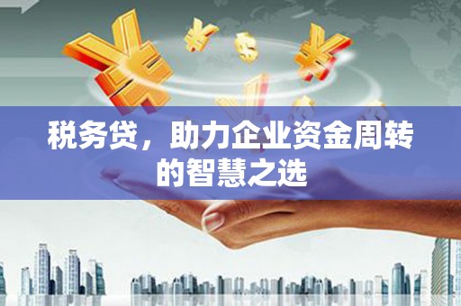 南山税务贷，助力企业资金周转的智慧之选