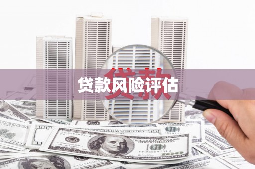 南山贷款风险评估
