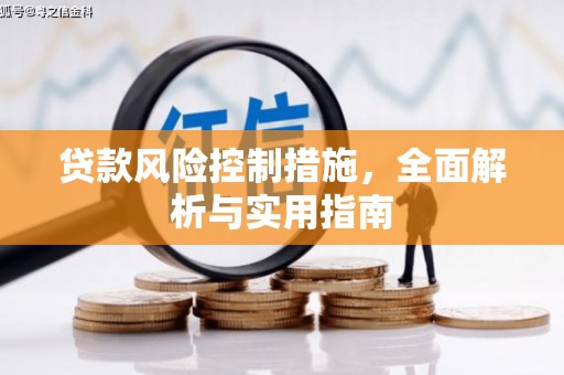 南山贷款风险控制措施，全面解析与实用指南
