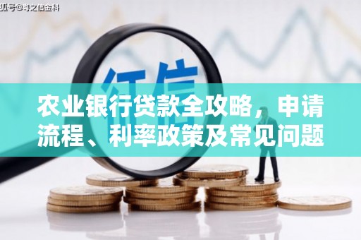 南山农业银行贷款全攻略，申请流程、利率政策及常见问题解析
