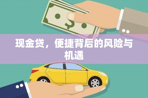 南山现金贷，便捷背后的风险与机遇