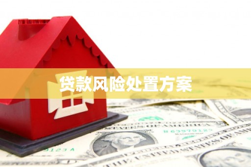 南山贷款风险处置方案