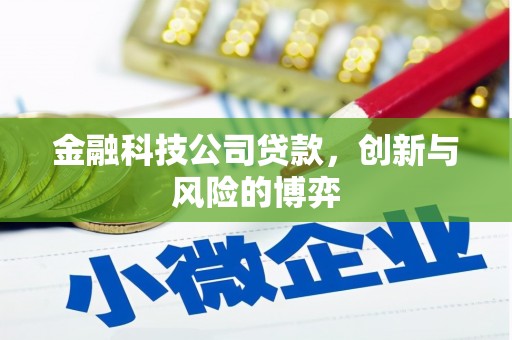 南山金融科技公司贷款，创新与风险的博弈