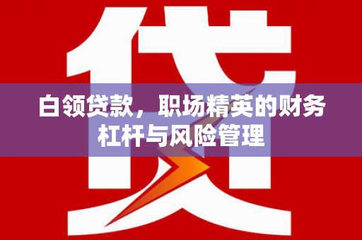 南山白领贷款，职场精英的财务杠杆与风险管理