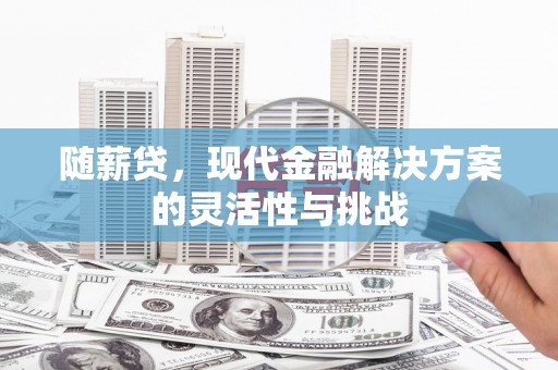 南山随薪贷，现代金融解决方案的灵活性与挑战
