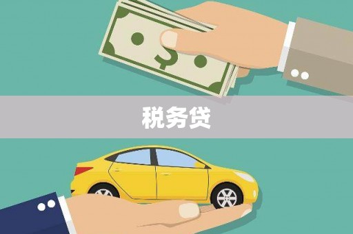南山税务贷