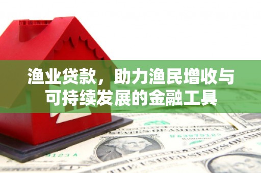 南山渔业贷款，助力渔民增收与可持续发展的金融工具