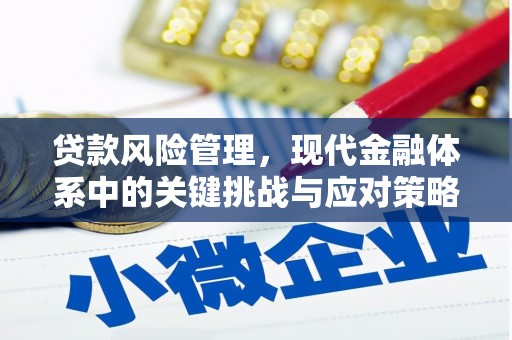 南山贷款风险管理，现代金融体系中的关键挑战与应对策略