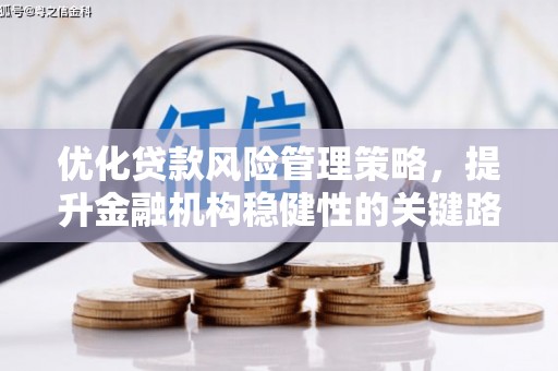 南山优化贷款风险管理策略，提升金融机构稳健性的关键路径