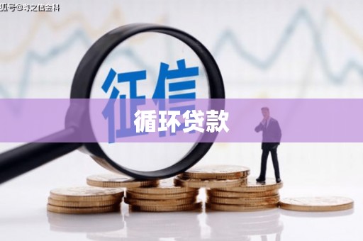 南山循环贷款