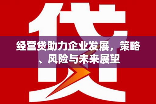 南山经营贷助力企业发展，策略、风险与未来展望