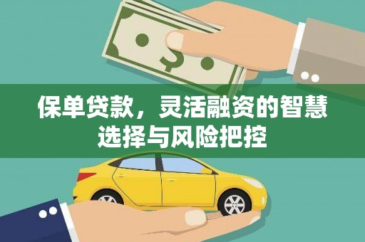 南山保单贷款，灵活融资的智慧选择与风险把控