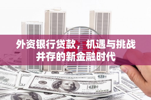 南山外资银行贷款，机遇与挑战并存的新金融时代