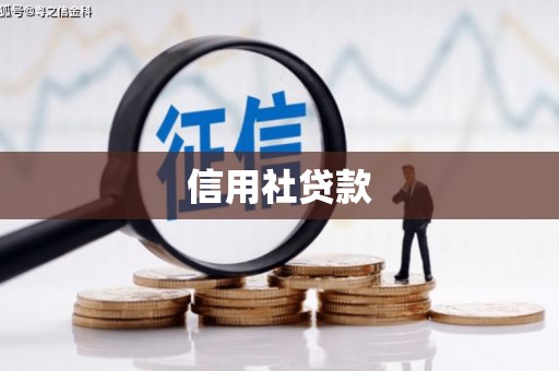 南山信用社贷款