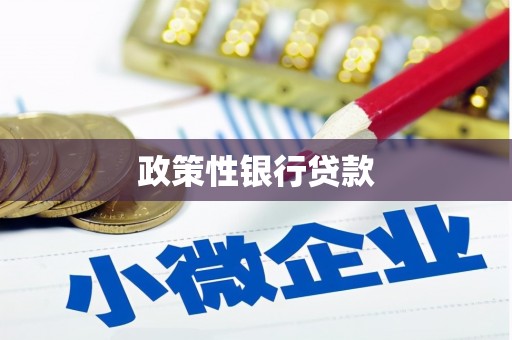 南山政策性银行贷款