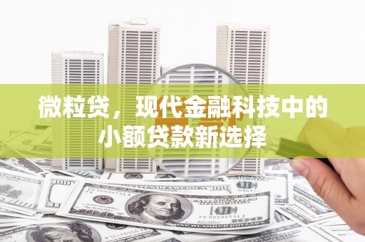南山微粒贷，现代金融科技中的小额贷款新选择
