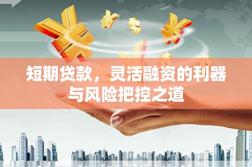 南山短期贷款，灵活融资的利器与风险把控之道