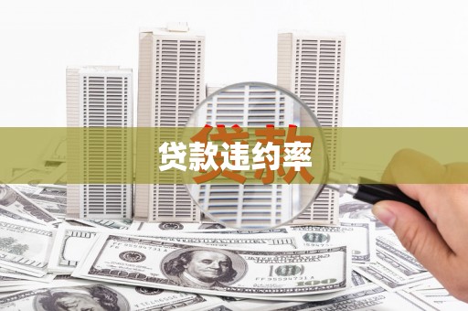 南山贷款违约率