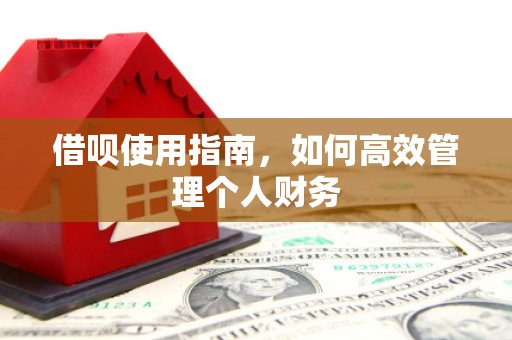 南山借呗使用指南，如何高效管理个人财务