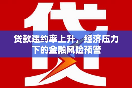 南山贷款违约率上升，经济压力下的金融风险预警