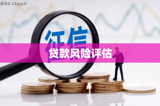 南山贷款风险评估