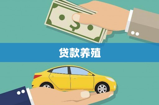 南山贷款养殖