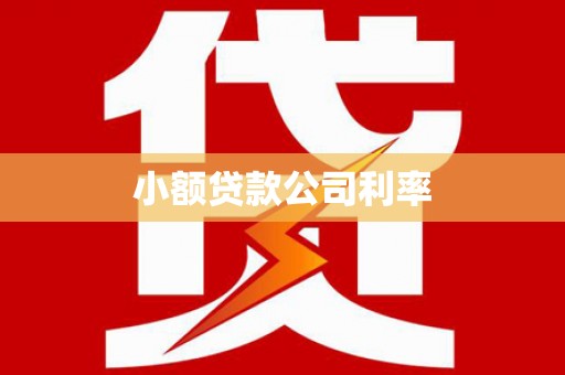 南山小额贷款公司利率