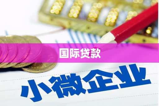 南山国际贷款