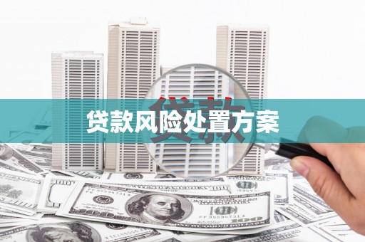 南山贷款风险处置方案