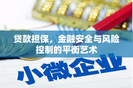南山贷款担保，金融安全与风险控制的平衡艺术