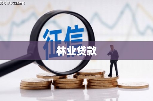 南山林业贷款