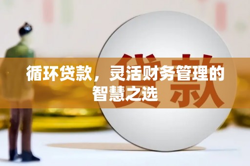 南山循环贷款，灵活财务管理的智慧之选