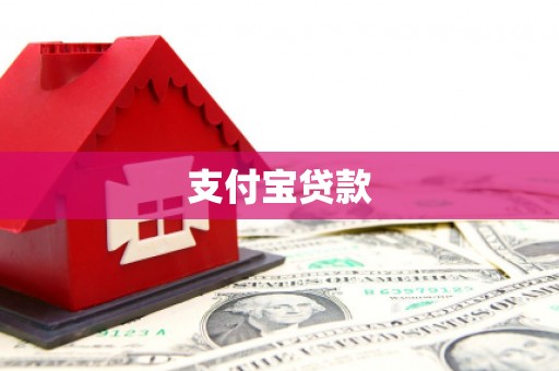 南山支付宝贷款