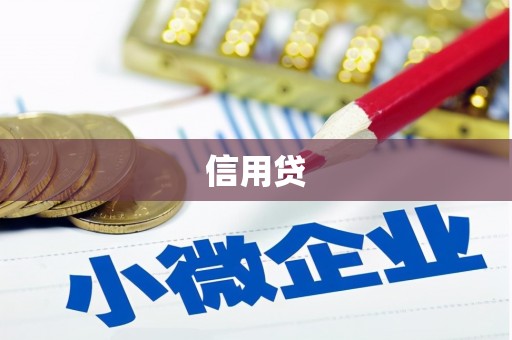 南山信用贷