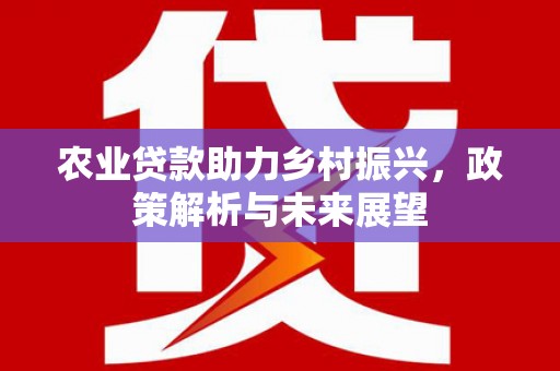 南山农业贷款助力乡村振兴，政策解析与未来展望