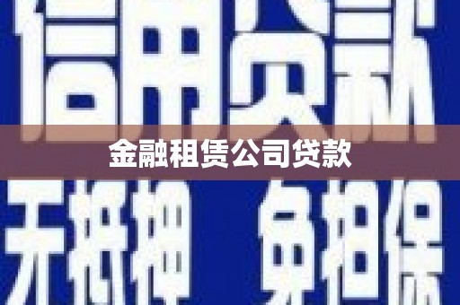 南山金融租赁公司贷款