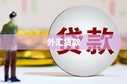 南山外汇贷款