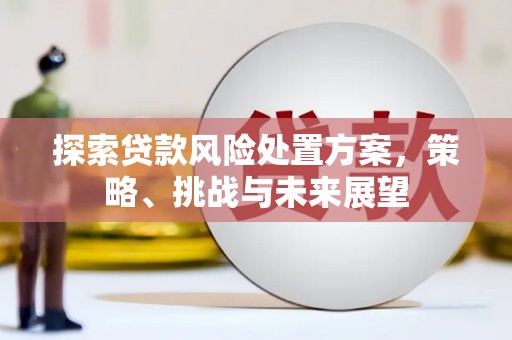 南山探索贷款风险处置方案，策略、挑战与未来展望