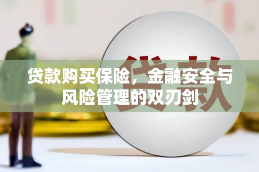 南山贷款购买保险，金融安全与风险管理的双刃剑