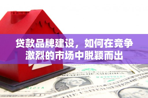 南山贷款品牌建设，如何在竞争激烈的市场中脱颖而出