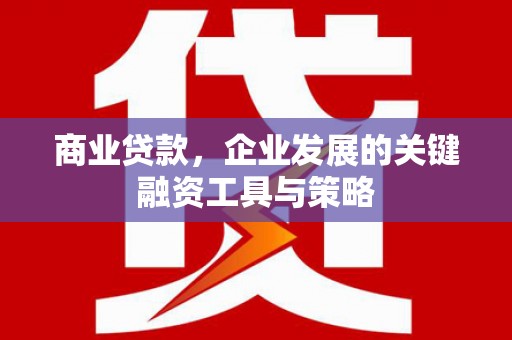 南山商业贷款，企业发展的关键融资工具与策略