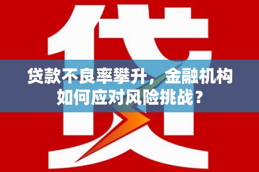 南山贷款不良率攀升，金融机构如何应对风险挑战？