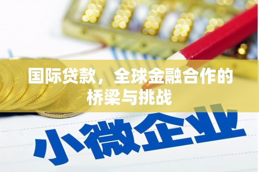 南山国际贷款，全球金融合作的桥梁与挑战