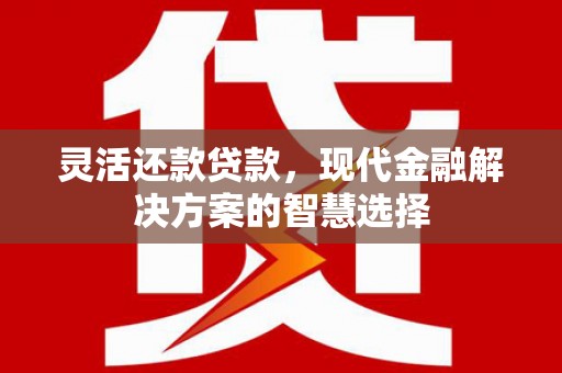 南山灵活还款贷款，现代金融解决方案的智慧选择