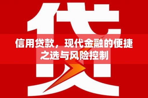 南山信用贷款，现代金融的便捷之选与风险控制