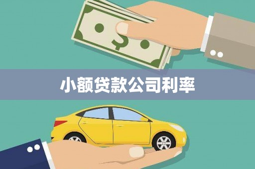 南山小额贷款公司利率